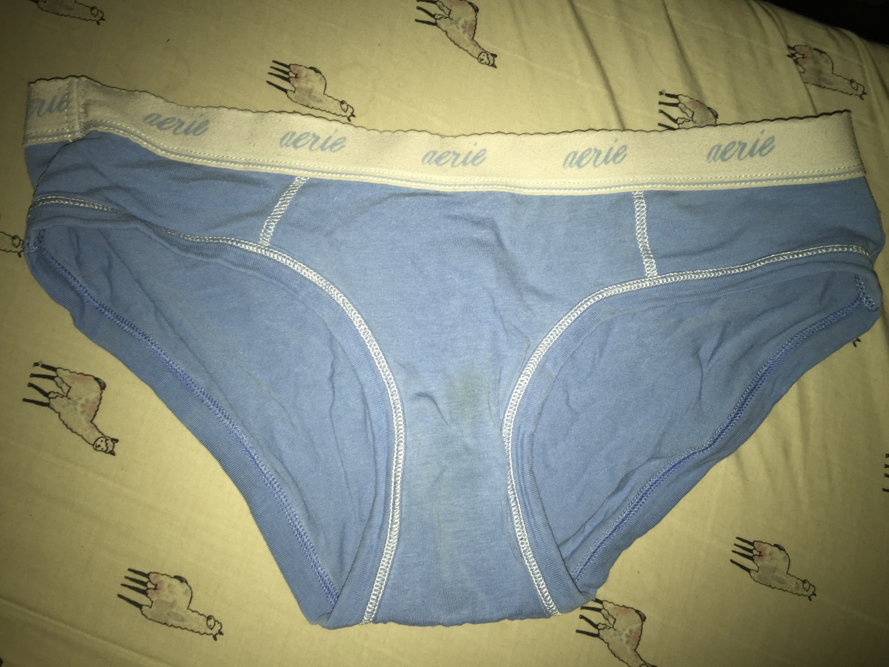 Sweaty used panties