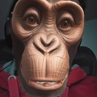 lagoutedo