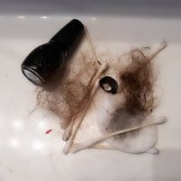 Aprilsassets ha&hellip;